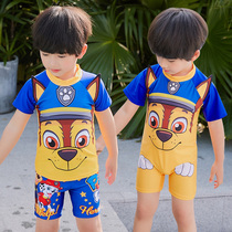 Childrens swimsuit Barking team boys middle and small children split short-sleeved shorts one-piece quick-drying sunscreen beach three-piece suit