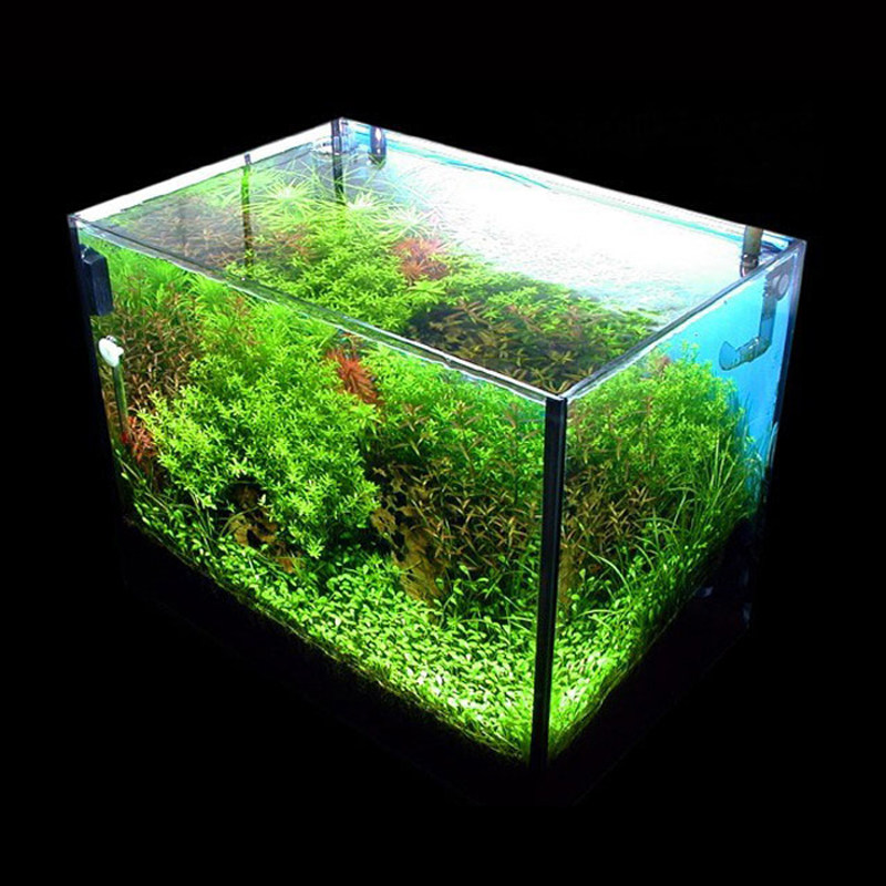 烟火超白鱼缸 金鱼缸 玻璃 中小型 鱼缸 水族箱 30-60cm 定做