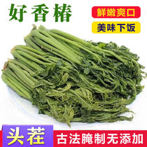 (Toon head stubble) fresh pickled toon sprouts toon sprouts toon head pickles appetizers 500g bag