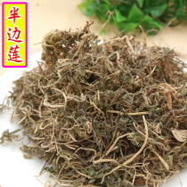 Guangxi wild Chinese herbal medicine Chinese lobelia half Lianside with half kim fine rice straw serpent grass 500g