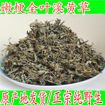 Wild stream Yellow Grass new berry tea Vine Tea Creek tea bitter nectar Snow Tea white tea 500g Guangxi tea