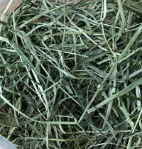 Spot 21 years new dried Timothy grass rabbit domestic North grass grinding teeth National 500g five Jin
