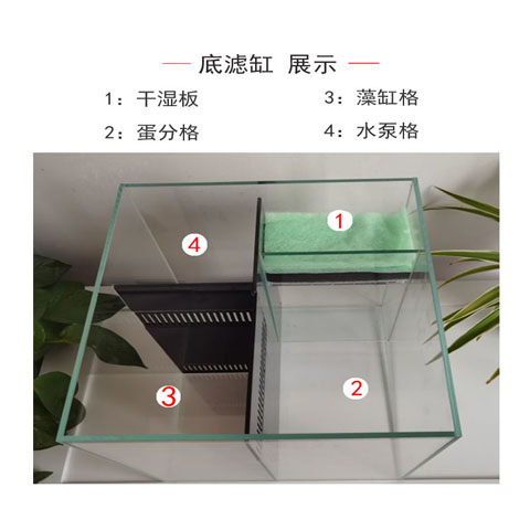 海缸底滤/金晶超白鱼缸/背包底滤缸/珊瑚小丑海水缸