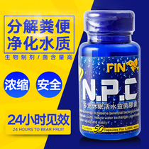 Hong Kong FIN sail brand enhanced dormant dry powder capsule nitrifying bacteria photosynthetic bacteria water purifying agent