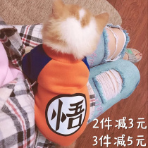 Winter new velvet sweater pet cat clothes kitten hair cat hairless cat clothing dog clothes warm