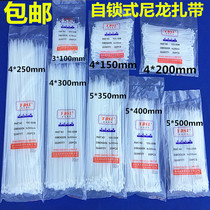 Self-lock Nylon tie with plastic bundle sleeve seal 100mm200mm300mm400mm500m tie