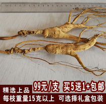 Mountain ginseng Changbai Mountain specialty people under the forest for about 18 years single more than 15 grams of gift box packaging box first-class dry seed migration