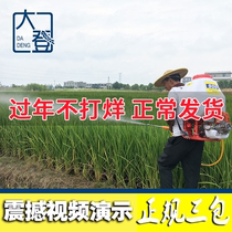 Petrol high-pressure beating pesticide drugmaker free of yellow oil pump back negative style landscaped fruit tree spray powder agricultural disinfection nebulizer