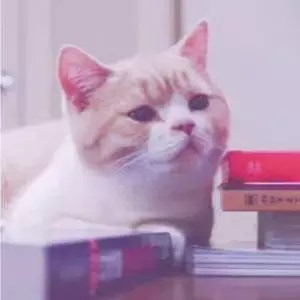 终于收到我需要的宝贝了，东西很好，价美物廉，谢谢掌柜的！说实在，这是我淘宝购物来让我最满意的一次购物。无论是掌柜的态度还是对物品，我都非常满意的。掌柜态度很专业热情，有问必答，回复也很快，我问了不少问题，他都不觉得烦，都会认真回答我，这点我向掌柜表示由衷的敬意，这样的好掌柜可不多。再说宝贝，正是我需要的，收到的时候包装完整，打开后让我惊喜的是，宝贝比我想象中的还要好！不得不得竖起大拇指。下次需要的时候我还会再来的，