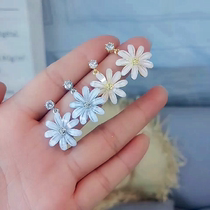 Little Daisy Earrings Chrysanthemum White Flower Earrings Sunflower Petals s925 Sterling Silver Needle Ear Female Korean Super Fairy