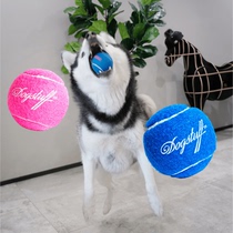 Big fat store American cool pole kyjen non-vocal tennis grinding teeth cleaning training bite-resistant pet toys
