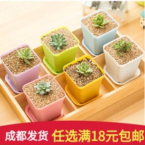 Multi-meat flowerpots small flower potted flower pots Mini plastic flowerpots Multi-meat plant seedling basin with trays