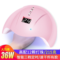 36W Professional LED UV Nail Dryer Gel Polish Lamp Light Cur