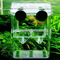 Fish tank isolation box Guppies isolation cage breeding box hatching net raw small fish with net heat belt ornamental fish