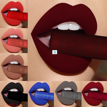 Brand 34 Colors Waterproof Matte Nude Lipstick Lipkit