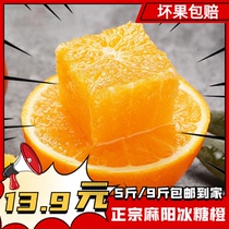 Hunan Mayang ice sugar orange fresh fruit orange seasonal non-summer orange Gannan Zigui Aiyuan navel orange citrus