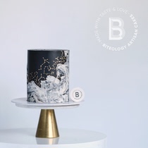 BITOlogy stars the sea E103 Design creative birthday cake Beijing Shanghai Tongcheng Distribution