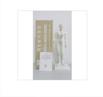 New Body Model Acupuncture Human Meridian Acupoint Model Teaching Model Male Female Model 48 48 50 60cm