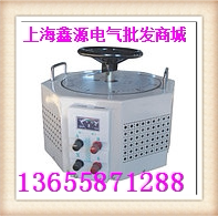 TDGC2J single-phase household voltage regulator 2000W output 0-250V adjustable transformer