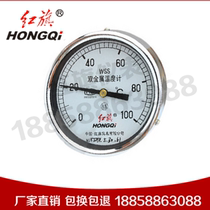 Factory Direct Red Flag instrument bimetal thermometer WSS-301 0-100 ℃ 0-50 ℃