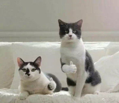 此用户没有填写评价。