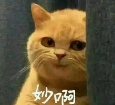 很羞涩的小裤裤，有一点点点扎扎的，可能是因为是蕾丝的吧，会扎一点点，不过还可以，拒绝拍照，凑个字数，凑个字数，凑个字数，凑个字数，凑个字数，凑个字数，凑个字数，凑个字数，凑个字数，凑个字数，凑个字数，凑个字数，凑个字数，凑个字数，凑个字数，凑个字数，凑个字数，凑个字数，凑个字数，凑个字数，凑个字数，凑个字数，凑个字数，凑个字数。。。