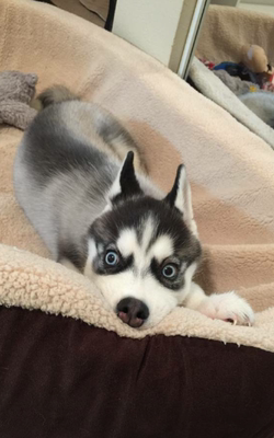 我跟你讲，吹爆这家店，内衣超级好看，有很好穿，非常舒服，只是我觉得小内内不好意思拍照片红红火火恍恍惚惚哈哈哈哈哈哈哈哈哈红红火火恍恍惚惚哈哈哈哈哈哈哈哈哈红红火火恍恍惚惚哈哈哈哈哈哈哈哈哈红红火火恍恍惚惚哈哈哈哈哈哈哈哈哈红红火火恍恍惚惚哈哈哈哈哈哈哈哈哈，老板的服务态度超级好，给老板一个大大的赞