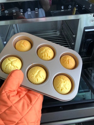 揭秘法格蒸烤箱怎么样,真相如何,不看后悔