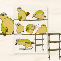 Original ipad Protective case 2021 New Air4 Tablet 10 2 inch parrot 2020pro11 green mini6 with Pen slot 8 three fold air2018 Net Red