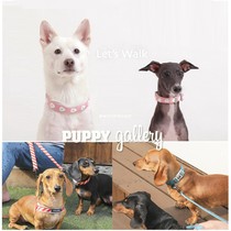 South Korea Puppy Gallery Retro Colour Item Circle Vest Chest Back Small Medium Dog Walking Dog Traction Rope