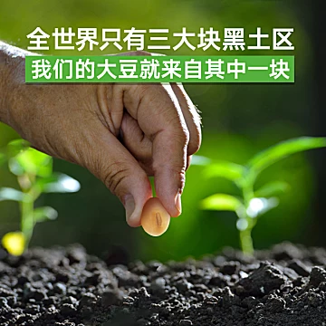 红桃k蛋白粉植物乳清蛋白大豆蛋白蛋白质粉[20元优惠券]-寻折猪