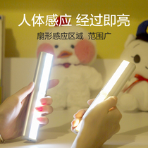Induction light Charging night light Charging night light Charging Wardrobe light Cabinet light Entrance corridor Aisle Induction light