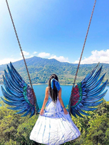 Internet Red Folk Sleeping Card Outdoor Scenic Spot Photo Making Wings Creative Iron Art Butterfly Wings Props Hanging Autumn