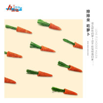 Rabbit ChinChin guinea pig Dutch pig Tianzhu hamster Timothy grass carrot tooth snack toy supplies 3