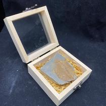 Natural trilobite fossil crown worm Zhangs worm gift box hardcover version teaching science gift