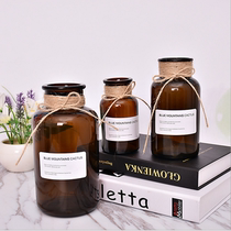 Nordic Small Brown Bottle Ins Wind Retro Transparent Glass Vase Hydroponic Flowers Home Furnishing Shooting Props