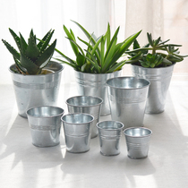 Multi new products Hot selling galvanized iron Pig basin florator Multi-meat plant Green Planted Pot containing flower pots emulated flower casks