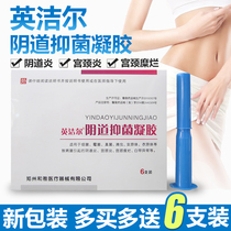 Yingjieer negative tract antibacterial gel Mycoplasma vaginitis cervicitis cervical erosion leucorrhea abnormal gel 6