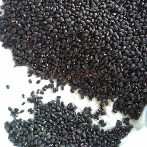 农家自种 闽南小黑豆 牛角黑 白芯可包粽子500g 5斤起包邮_7折现价21