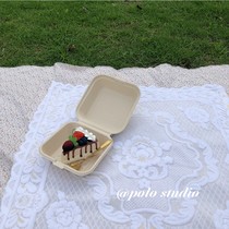 POLO Ins Wind Solid Suede Pasta Picnic Decorate Cloth Square Towel Retro Blooming Flowers Swing Stall Background Cloth Tablecloths