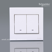 Schneider Chwins E1500 Ruyi Series 10A 250V Duplex Single Control Switch