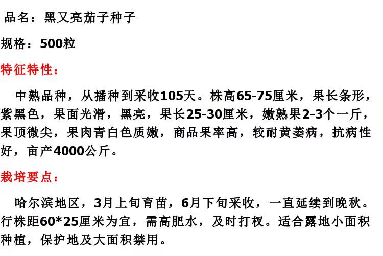 寿光蔬菜种子 紫长茄子种子 黑又亮长茄种子 高产抗病 原装500粒