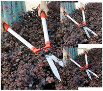 Gardening Flowers Wood Prunes Cut Green Hedges Scissors Big Scissors Greening Lawns Rough Branches Cutting Tools Fence Sheared Branches Cut