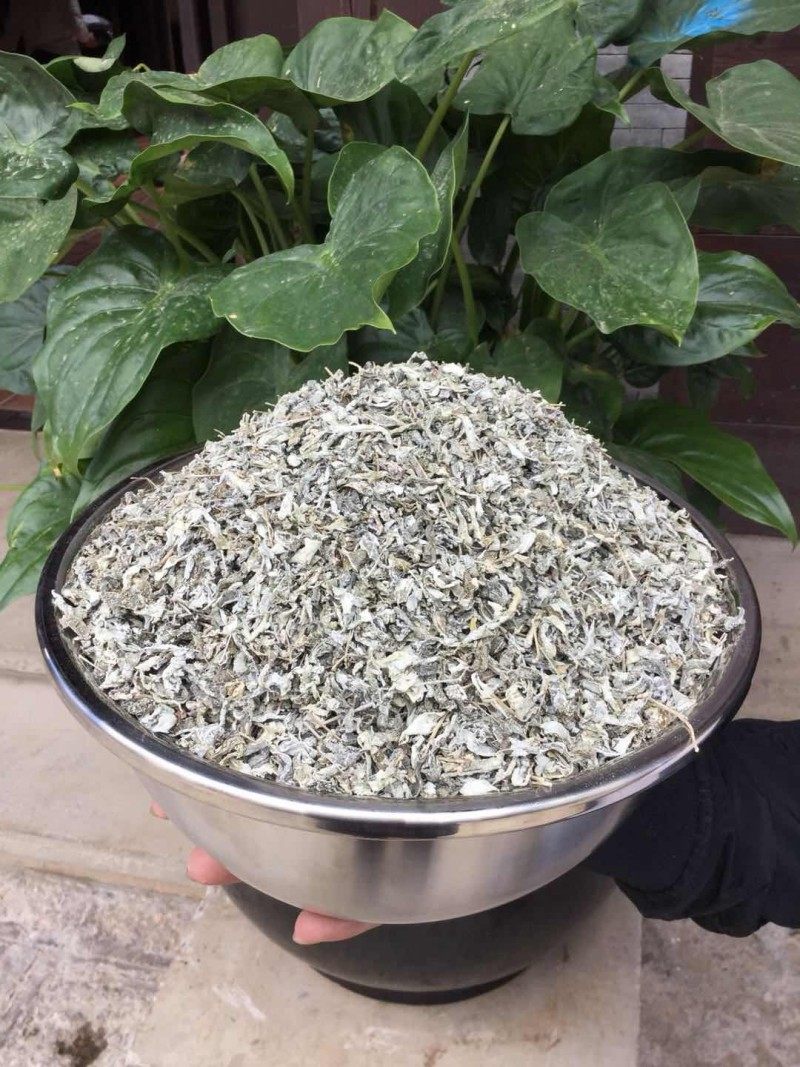 丽江雪茶白雪毫雪山古茶苍山雪茶雪山白露木府茶野生古藤茶