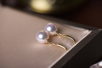 Wing 18K gold ear hook ear wire change special shot