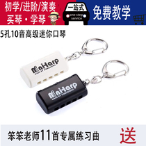 Dumbfounded harmonica recommended five-hole 10-tone high-grade mini harmonica adult beginner introductory practice professional