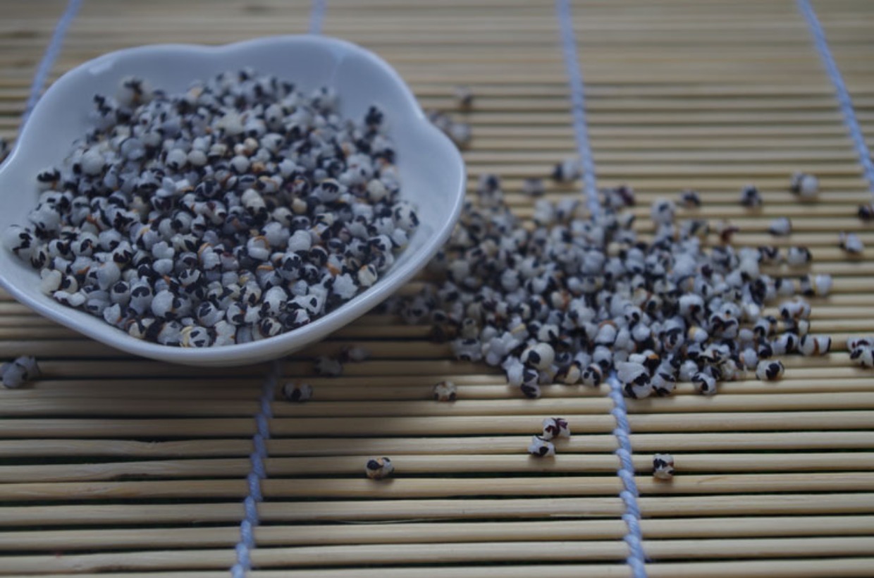 展示与对比:中药材炒王不留行茶 可配通草黄芪路路通通奶下奶 100g送