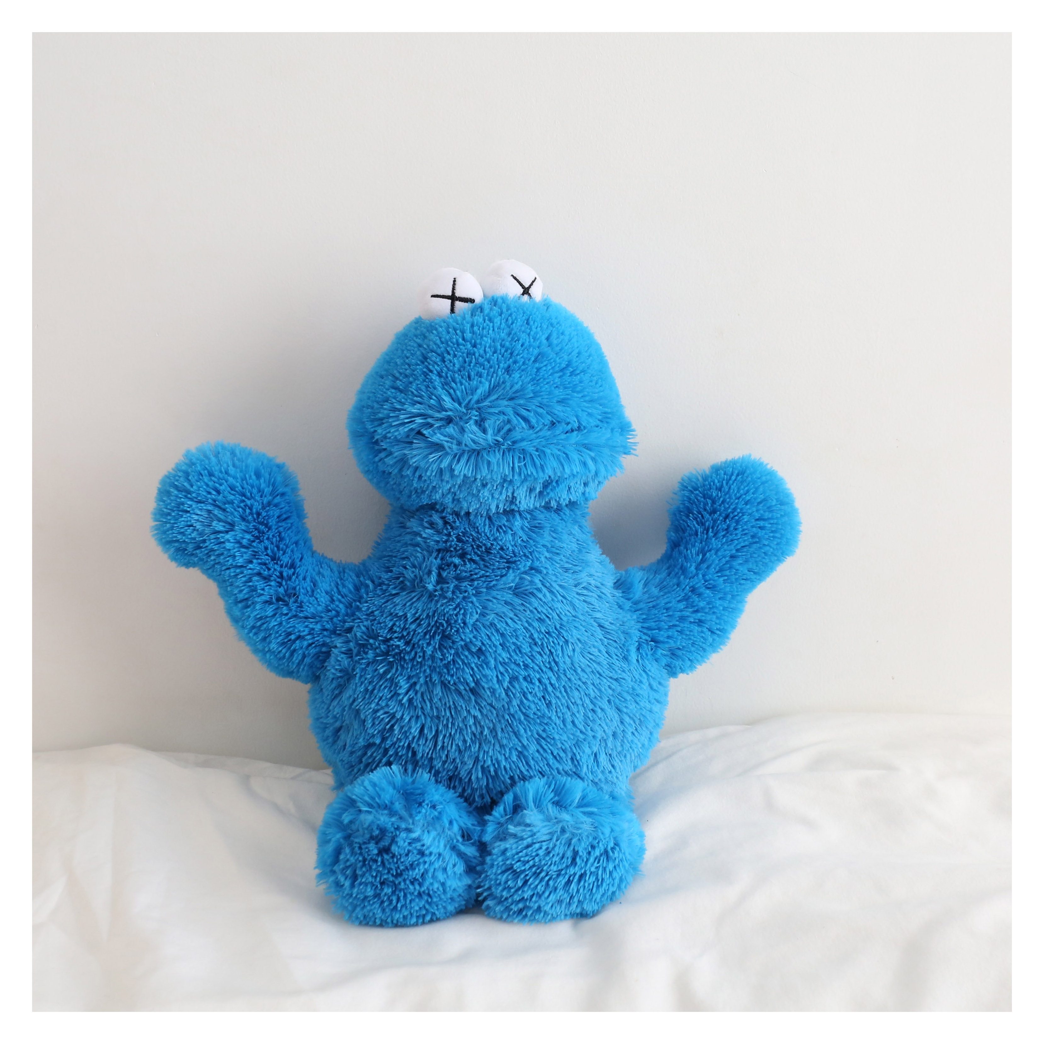 fz丨卡通可爱 kaws x 芝麻街联名毛绒公仔玩偶潮牌明星娃娃礼物