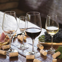 Accent classic goblet wine glass white wine glass European imported Rona lead-free crystal glass spot