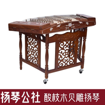 Acid branch wood shell carving Lotus dulcimer commune professional performance examination stage gift popular teaching materials New product recommendation